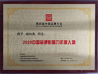 2020中國品牌影響力年度人物